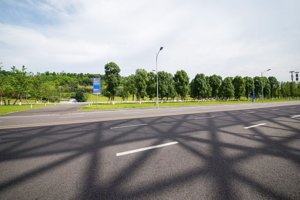 Forest road 1112 1867