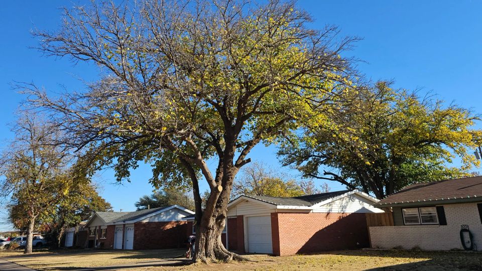 Unnamed (3) original