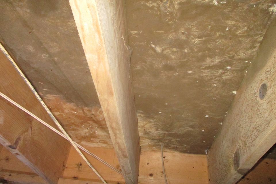 Img 3271