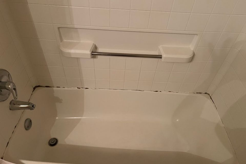 Img 3082