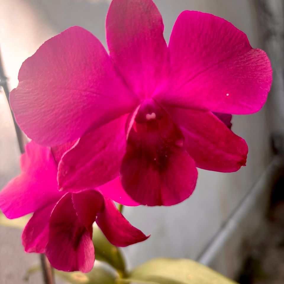 7ab167b8 8560 4ad7 86c5 b36fed3931d0