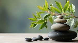 Wellness 5