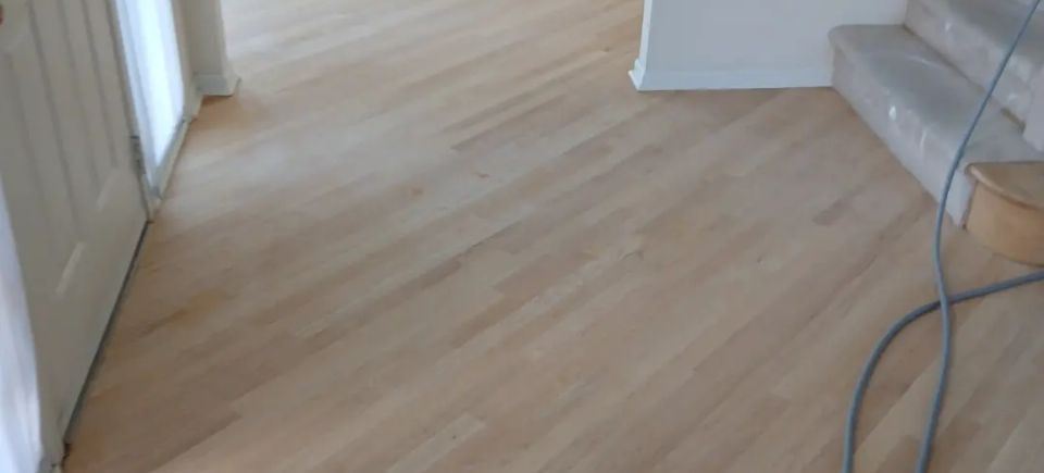 1000006619