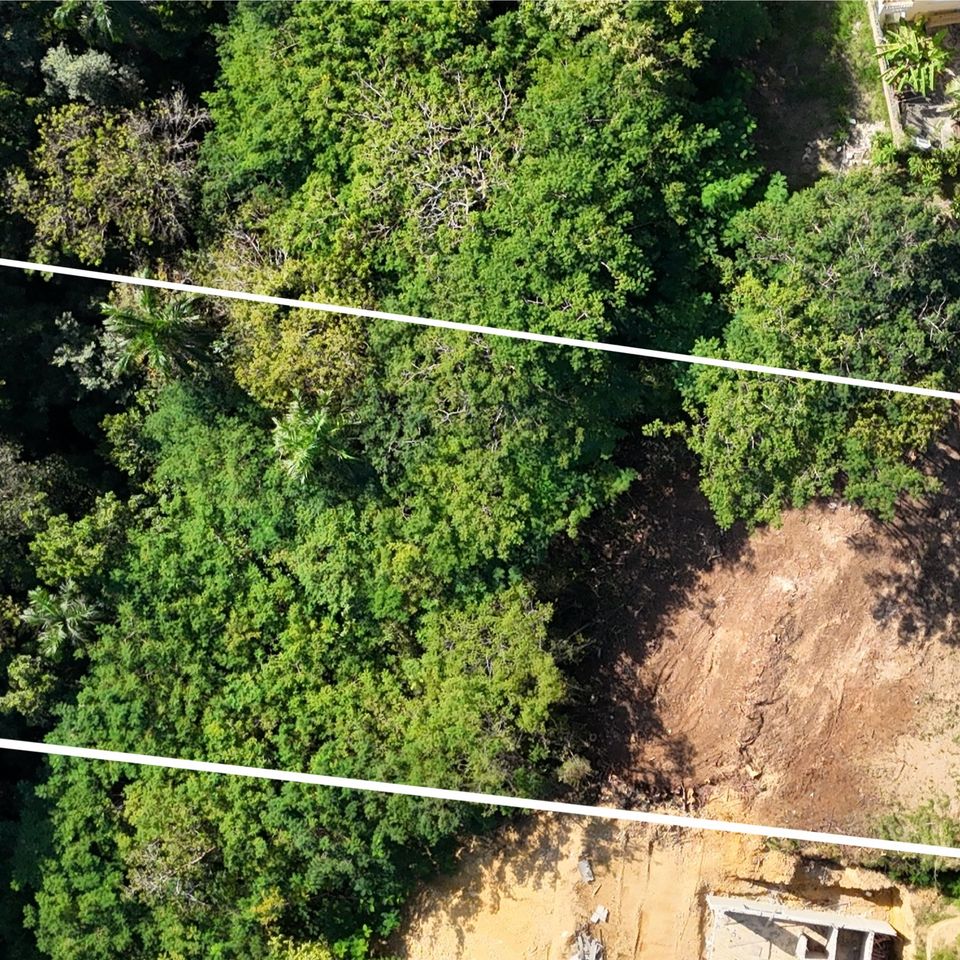 Dji 20251215082059 0143 d 2