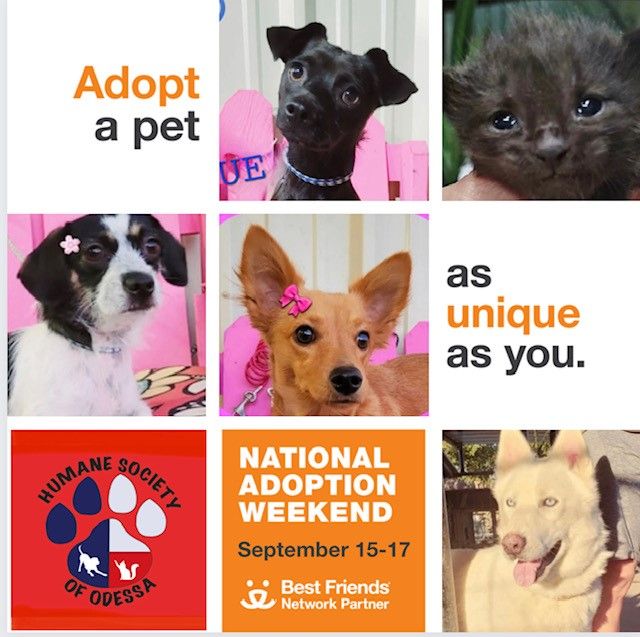 Humane Society of Odessa