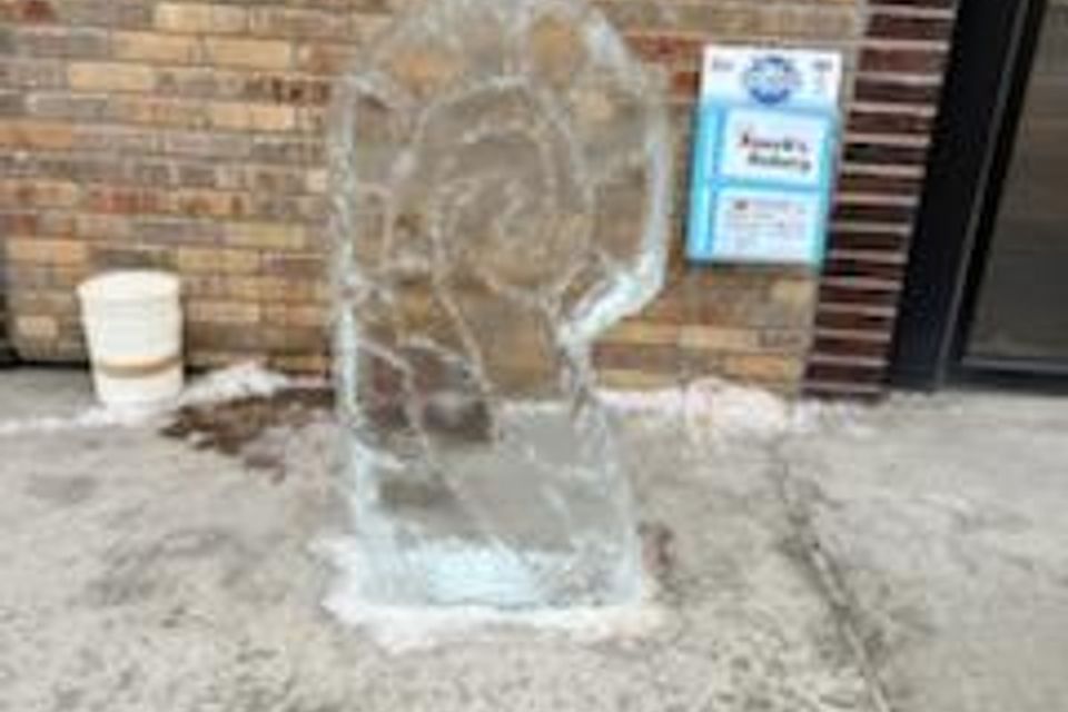Ice carving 2025 58