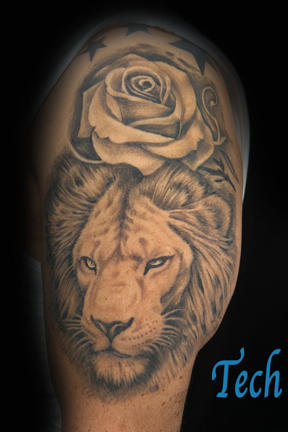 Tech lion rose