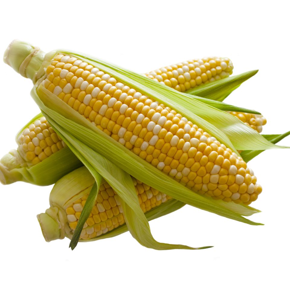 Corn20170321 8561 1t4981f