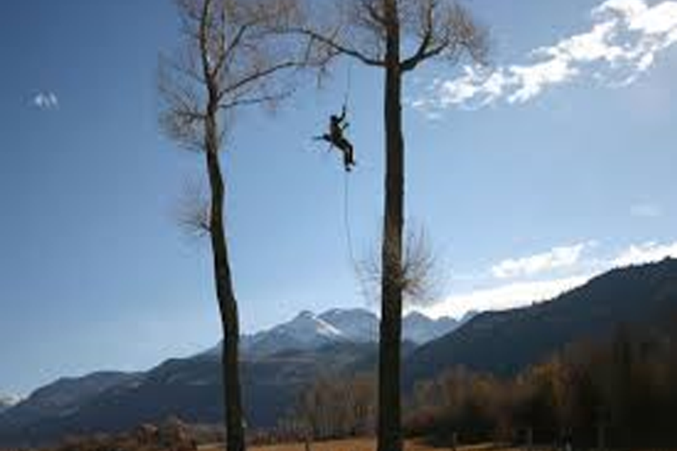 Image820180306 20439 1rx0m6u