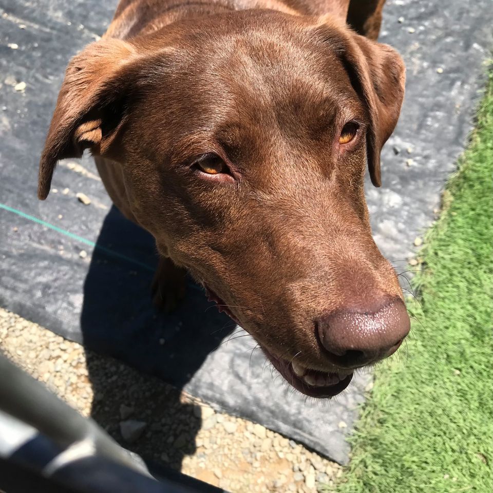 471244299 1018576676990597 5172599144168730081 n