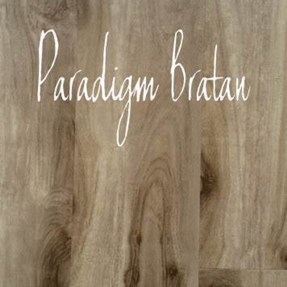 Paradigm bratan20151230 3516 1xed2hg