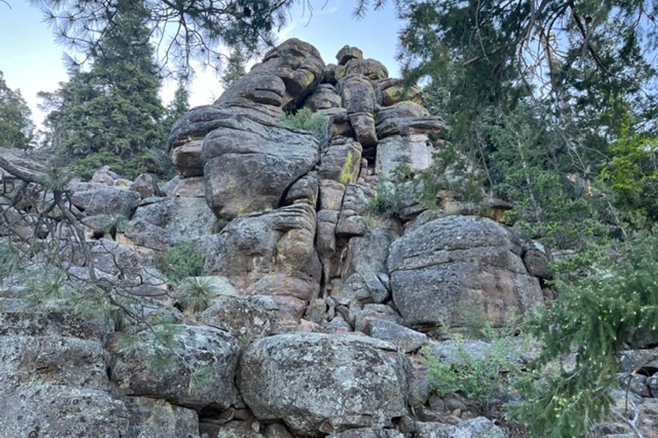 Image7