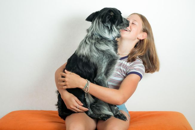 Pet g991c37031 1920