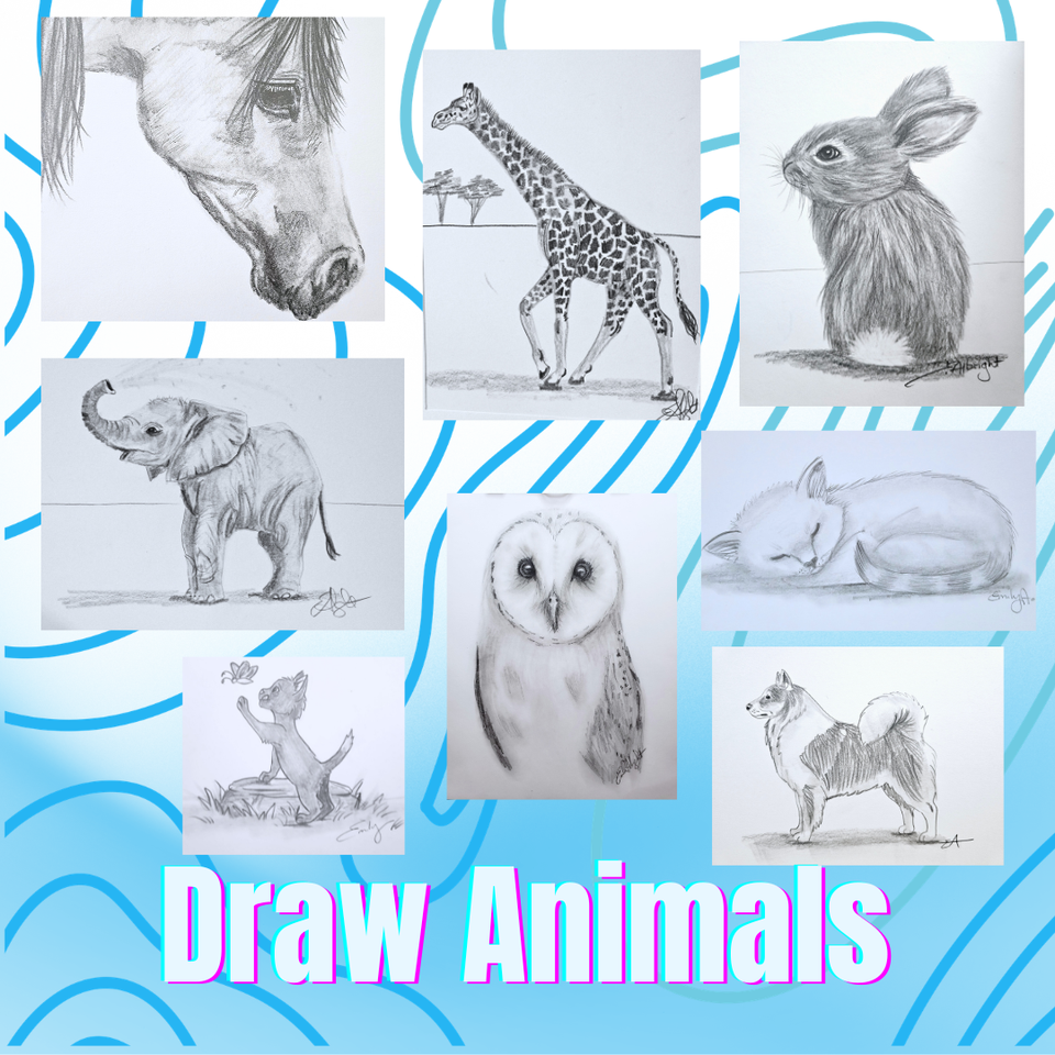 Draw animalll