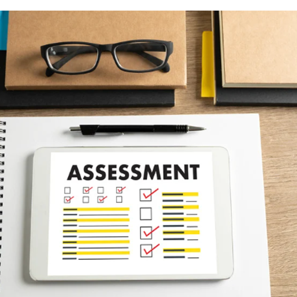 Assessment website