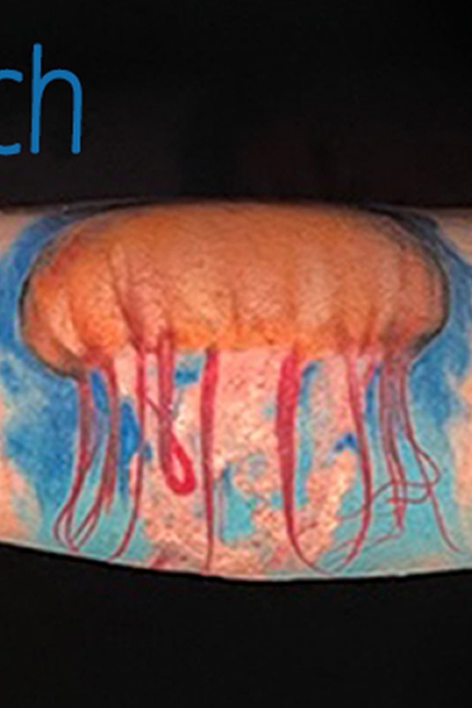 Tech jellyfish