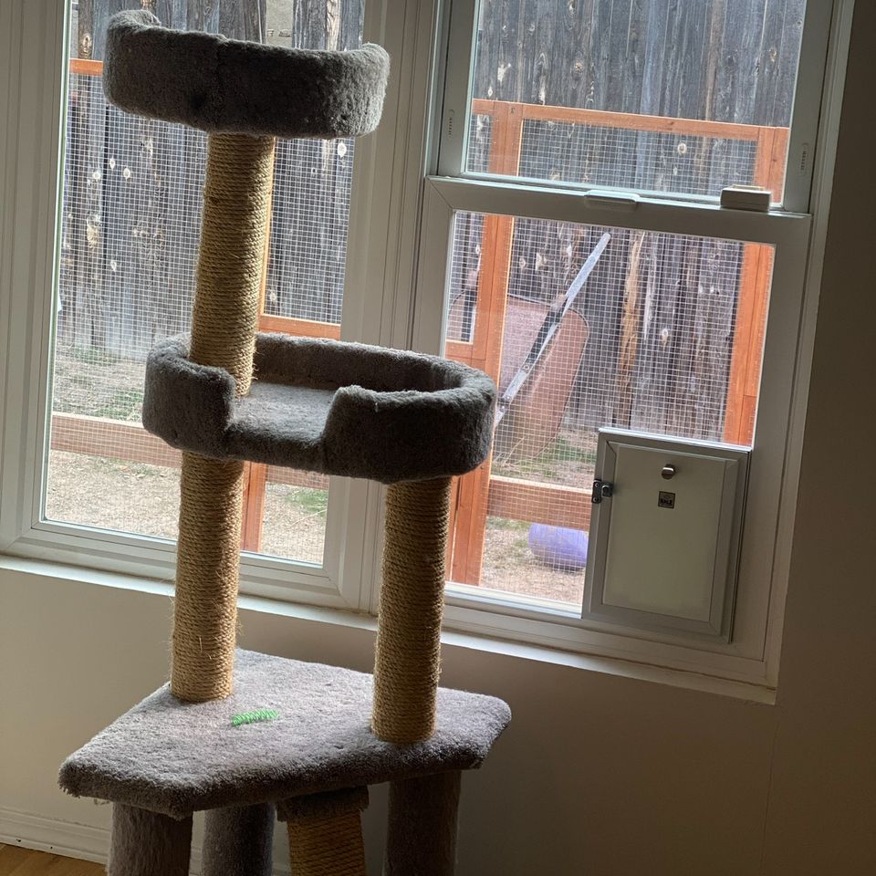 Cat door