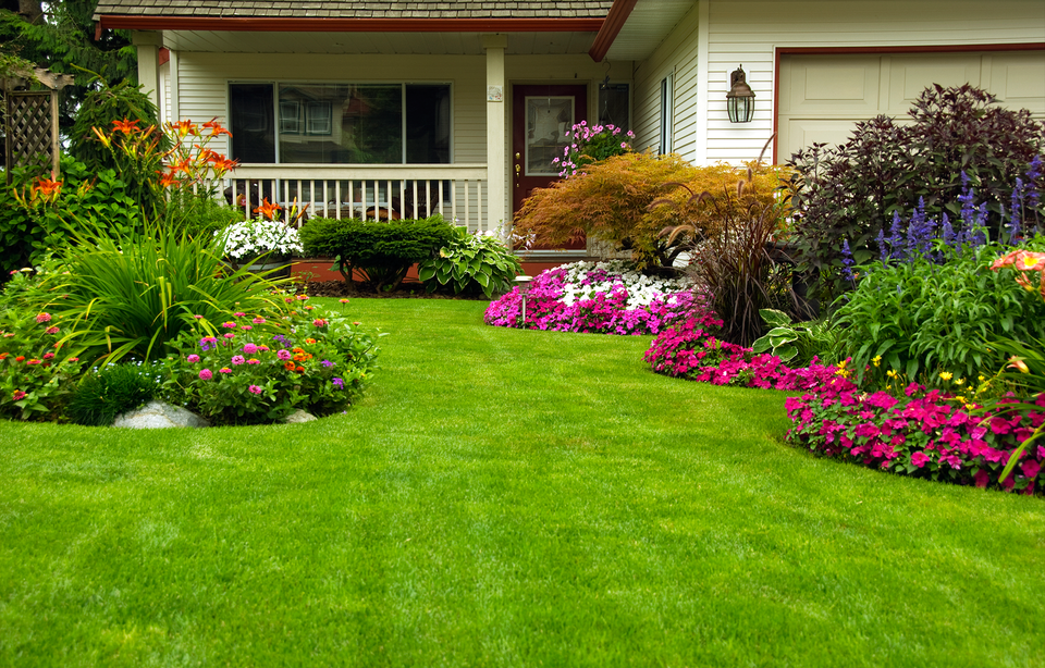 Landscaping lawn care