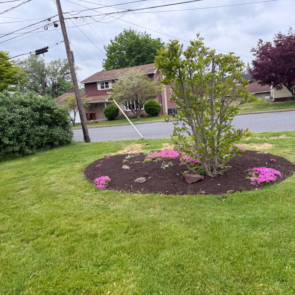 Patio job regrading work power washing mulching  1781095391615 8 img 6795
