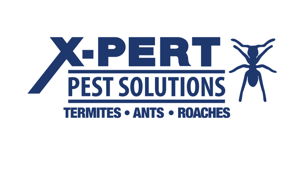 Xpert Pest Solutions pest control for termites ants roaches spiders mice