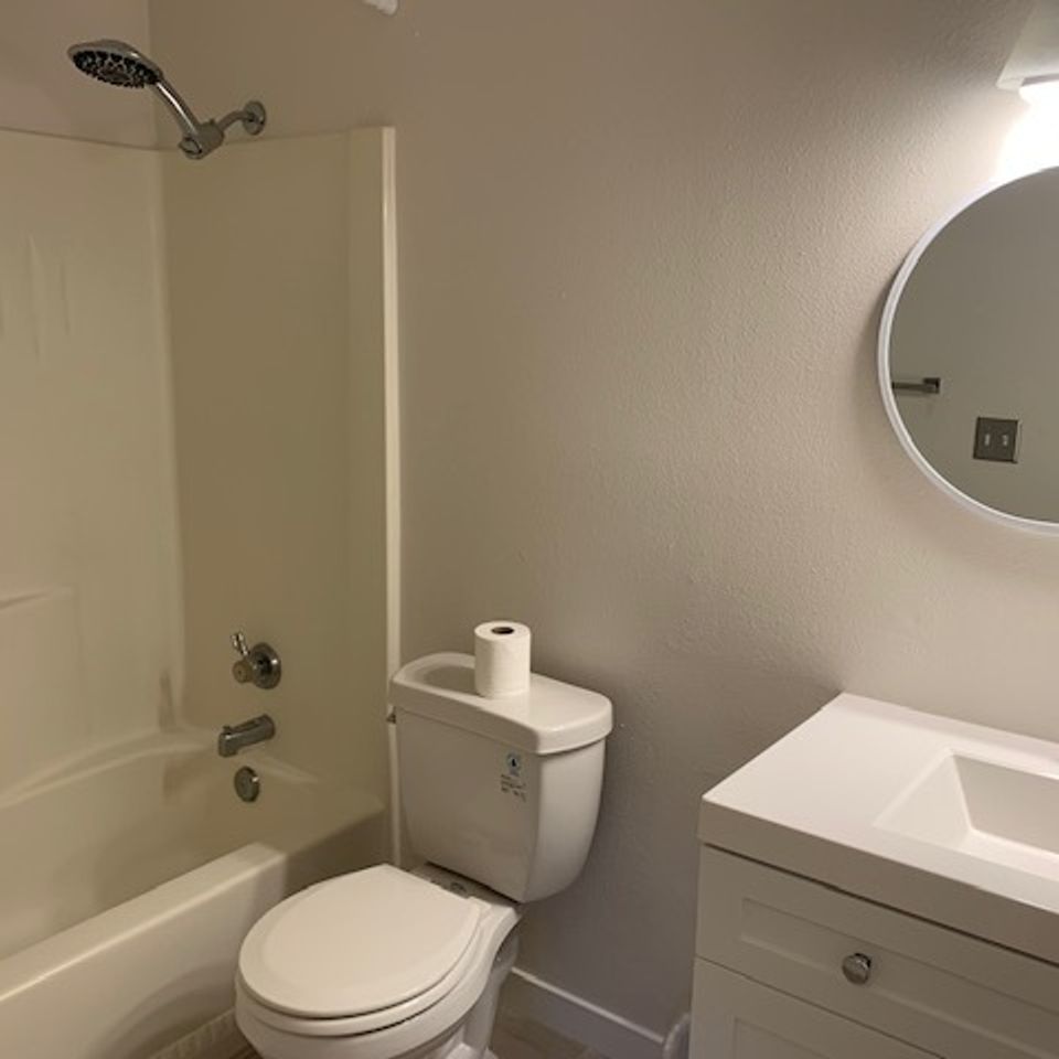 Img 3253