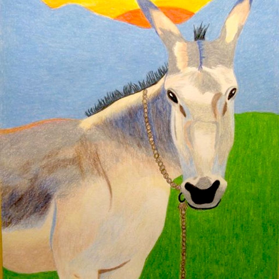 7. donkey drawing