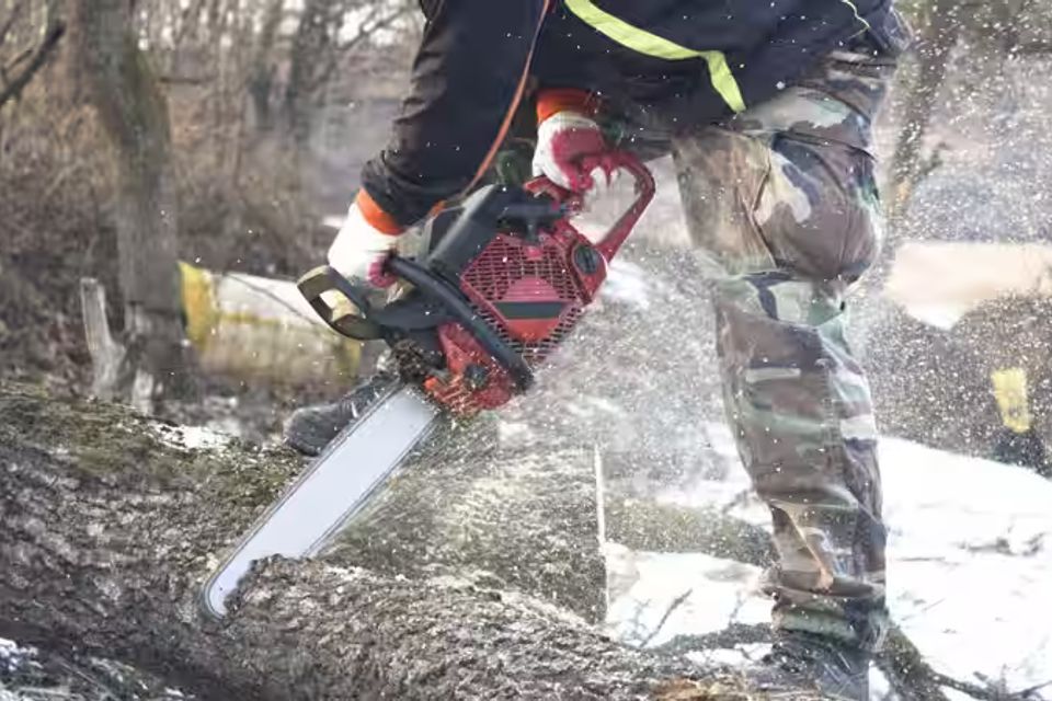 tree service harford county