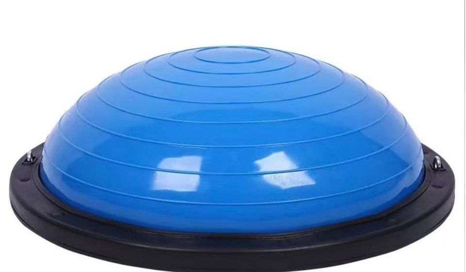 Bosu ball - used for KPCopy's rehabilitation 