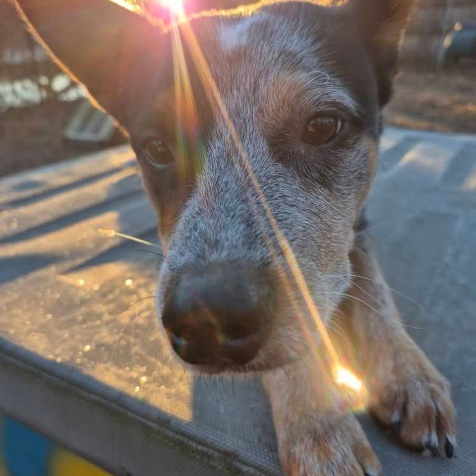 Fb img 1769435315933