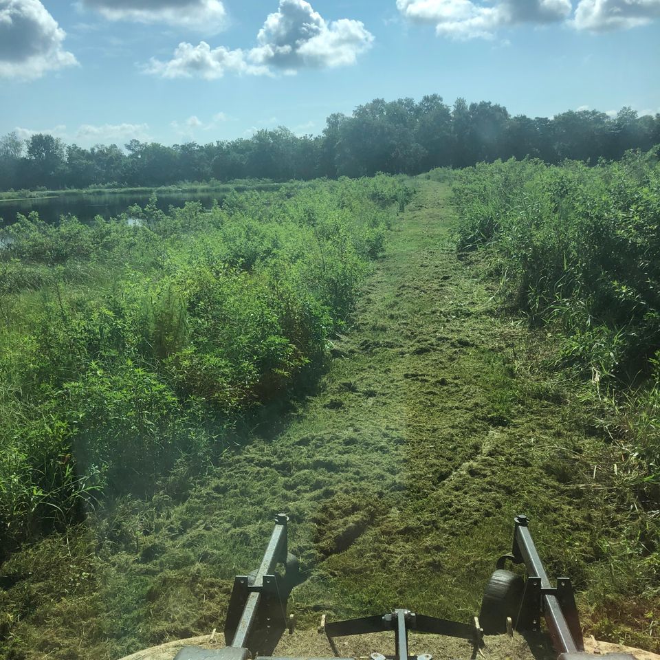 Mowing1b