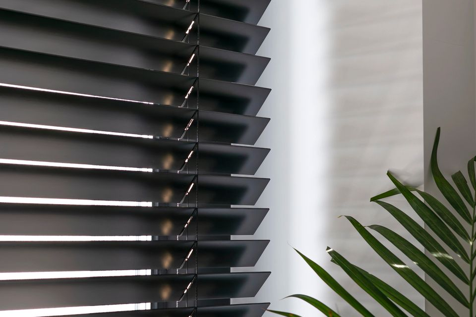 Window blinds meridian