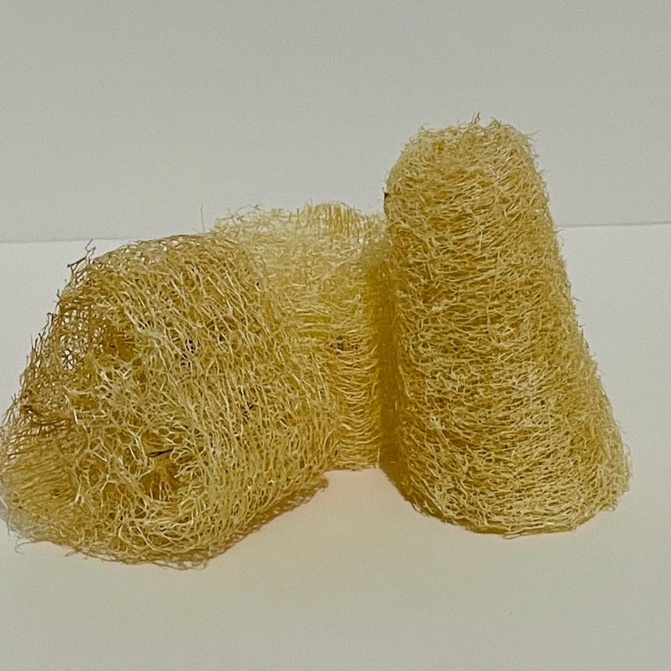 Loofah seeds