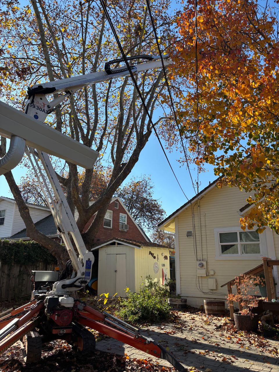 Lyons Tree Service utilizing specialized lift machinery for large-scale tree maintenance in Placer County, demonstrating our capability for complex residential and commercial tree care