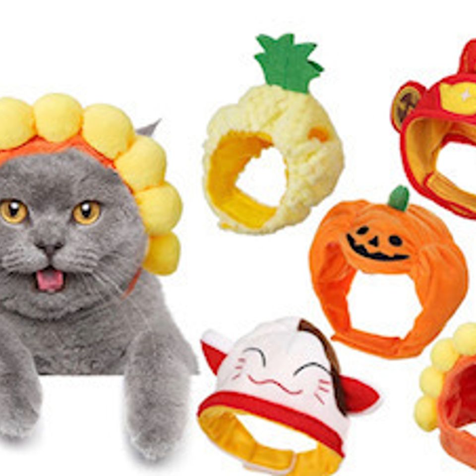 Pets17