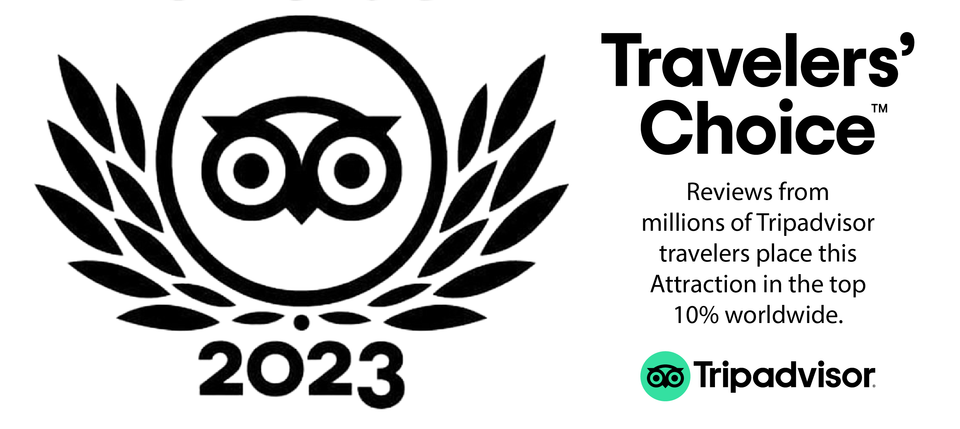 Travelers choice 2023 badge copy 01