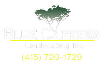 Blue Cypress Landscaping