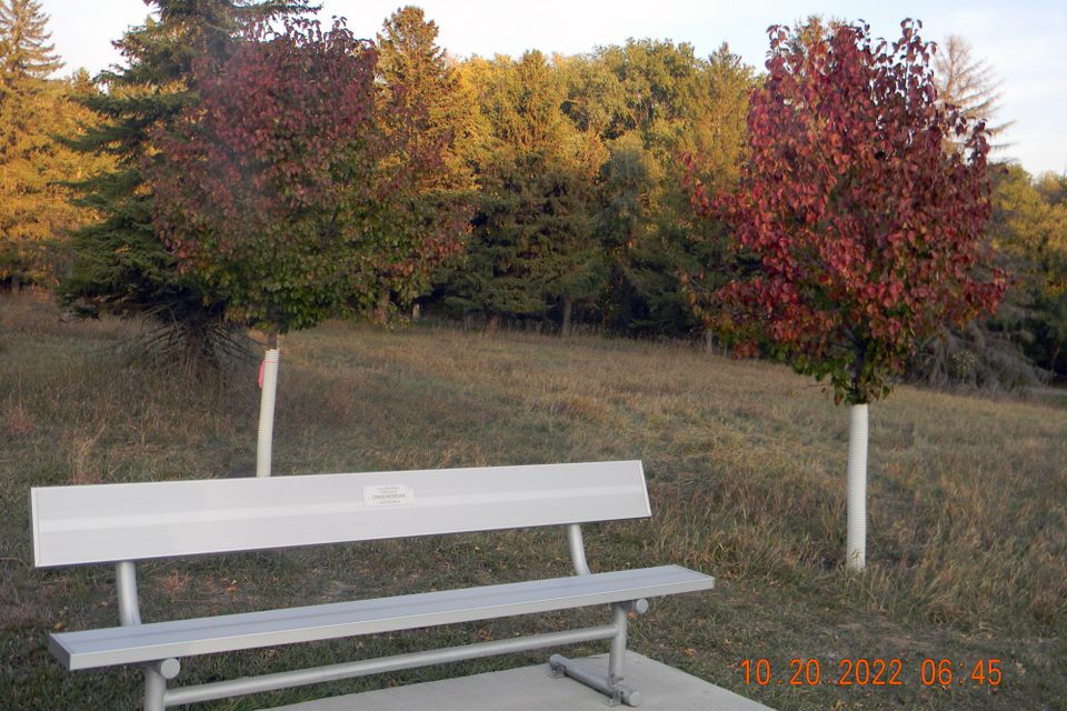 Dscn7386