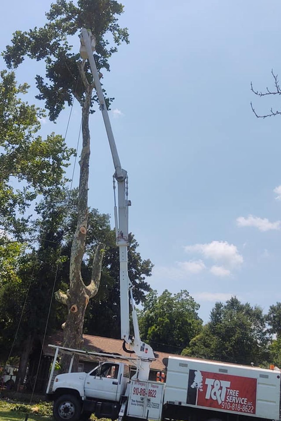 110292444 579860012677480 2098053770981762851 n