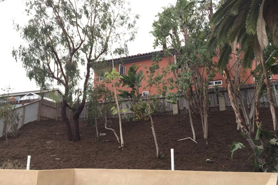 Brush clearing 1920w