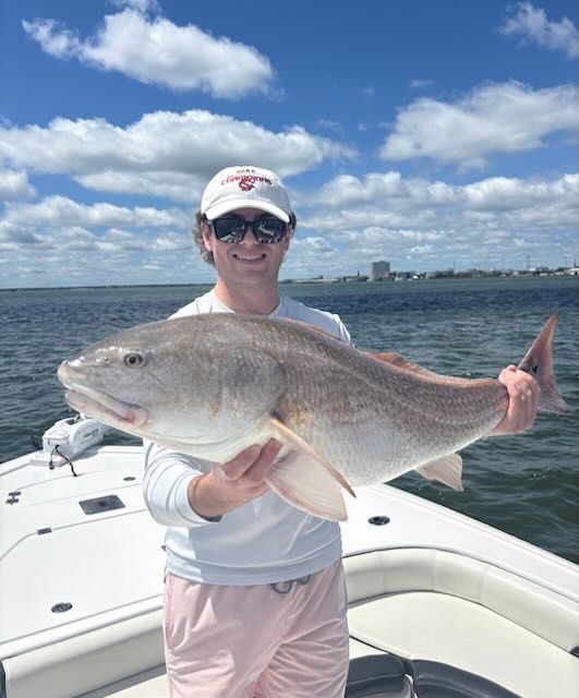 Angler holding a large red drum on an inshore fishing charter with LowCountry Coastal Excursions in Charleston