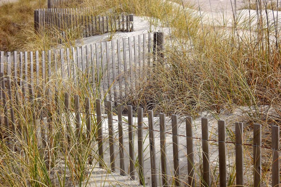 Kershnek grasses g7cca4ac25 1920
