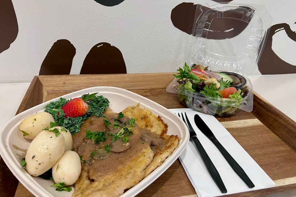 645332097 122173045706755874 7625331967515117808 n