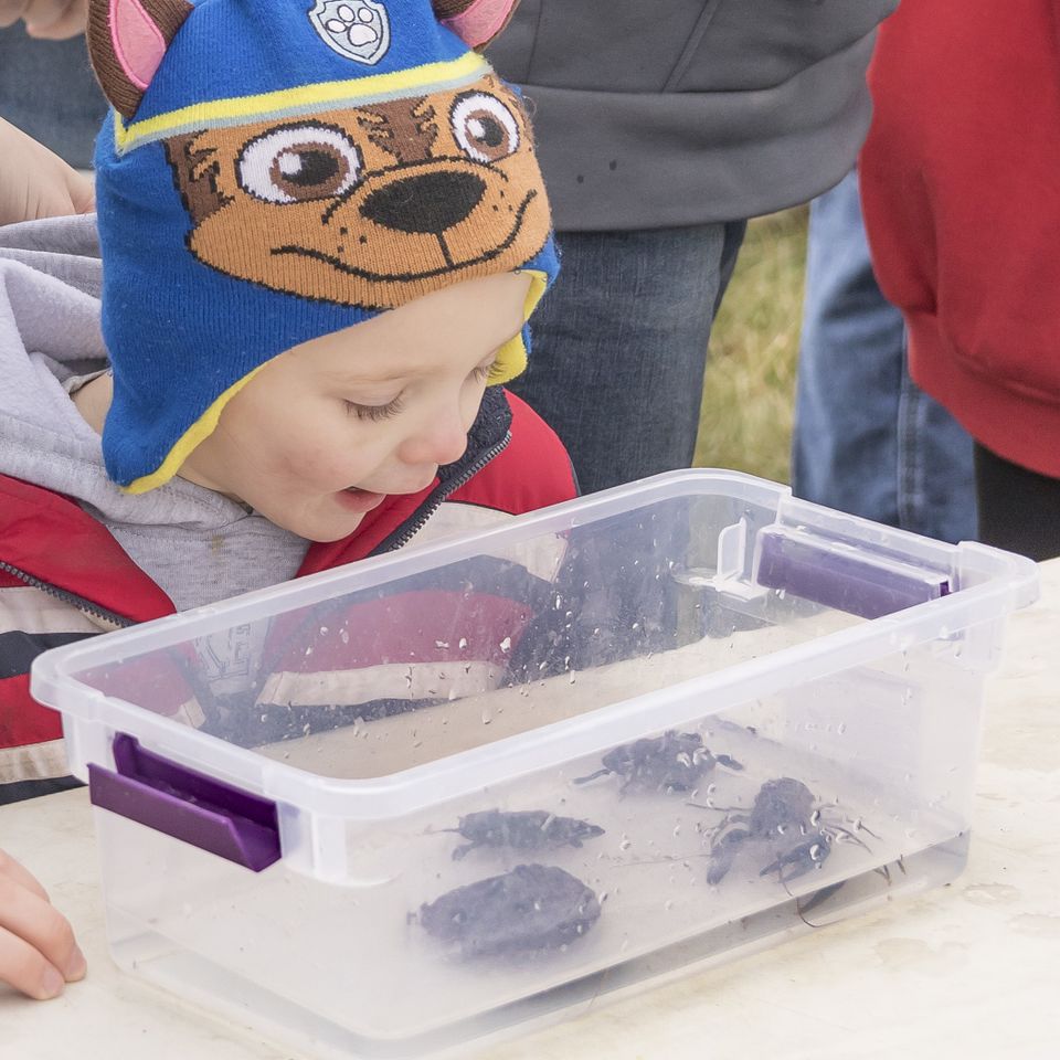 Fishing derby 2018 19