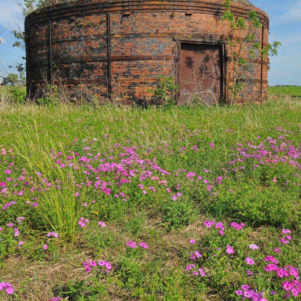 Route 41 charcol oven