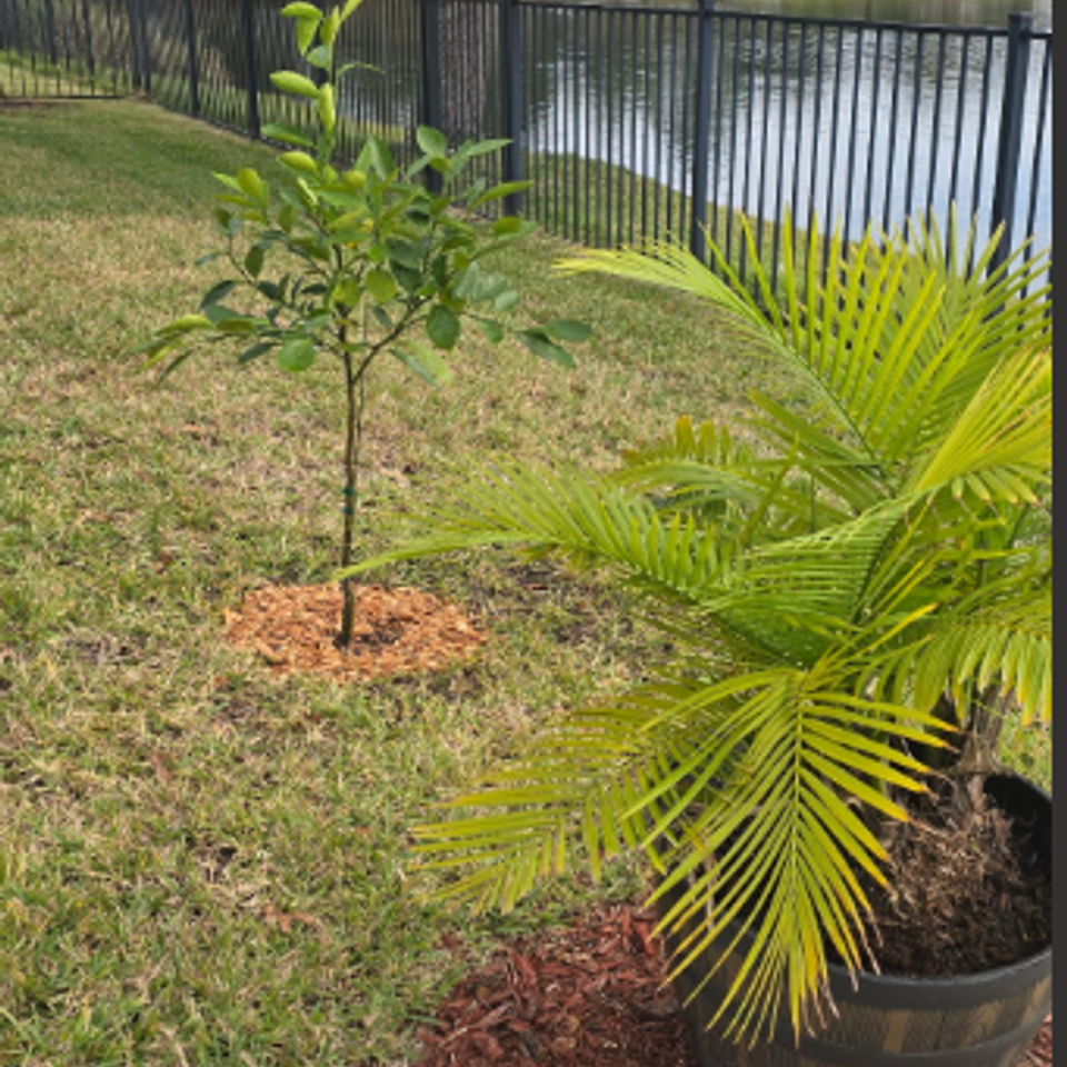 Screenshot 2025 11 21 152549