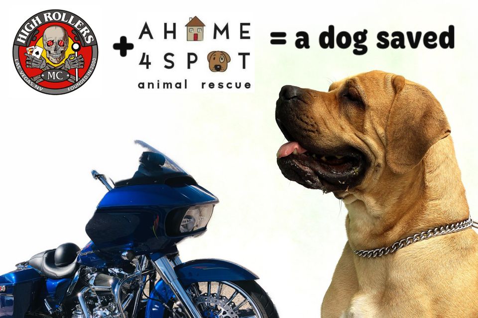 High Rollers MC | Motorcycle Club in Las Vegas, NV | A Home 4 Spot Charity