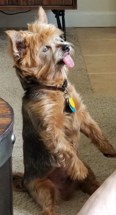 Max standing