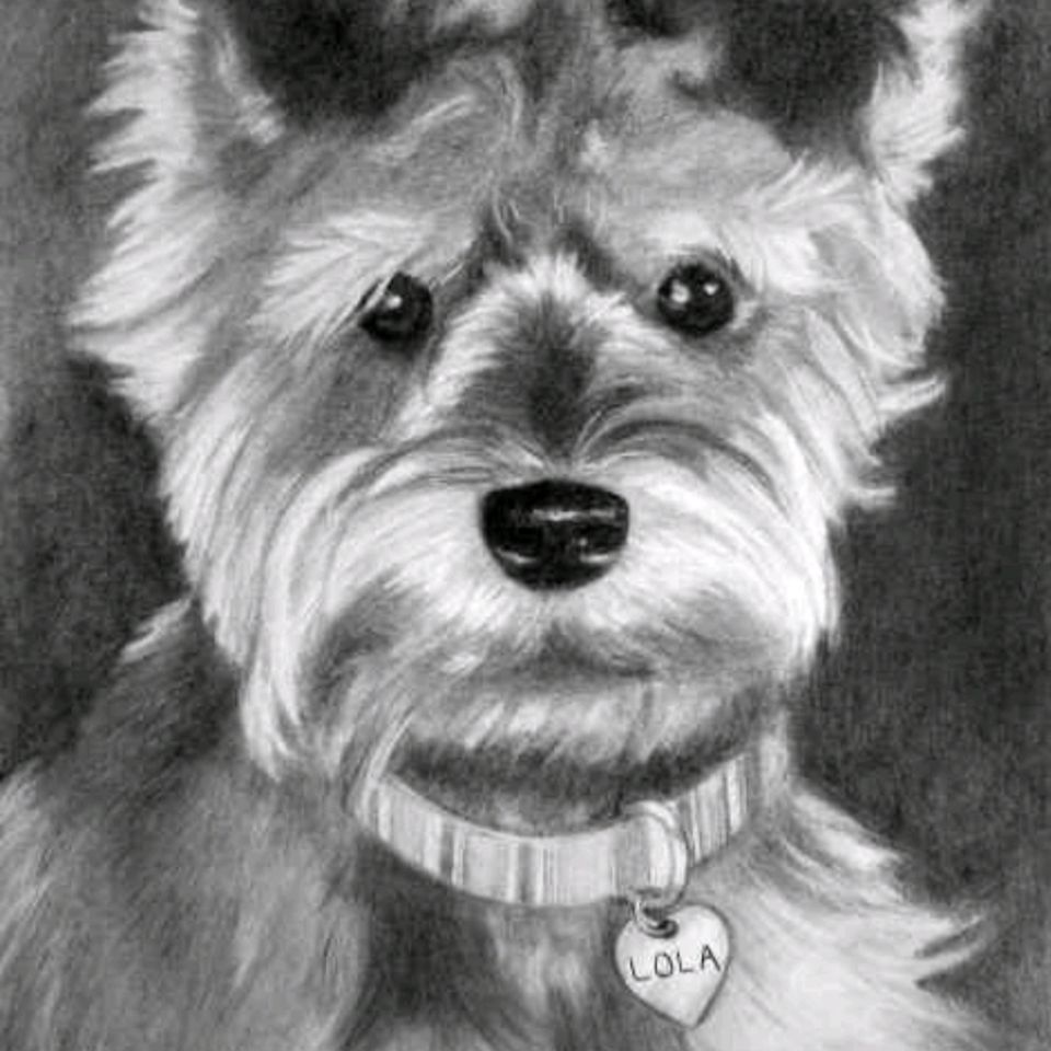 Lola - Charcoal (8"x10")