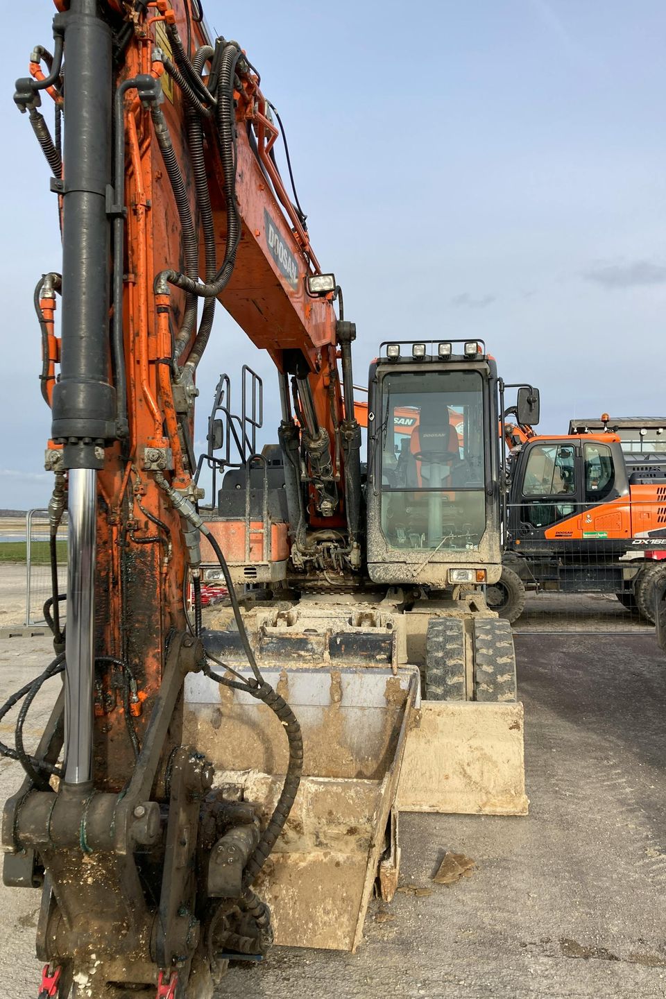 Pexels jmarc sire 306411934 19292146