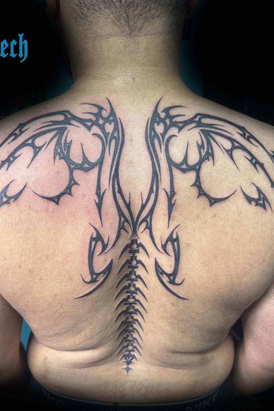 Tech tribal dragon wings